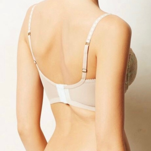 { Anthropologie } Eloise Minted Lace Long-line Bra 32b - Picture 2 of 9